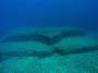 220px-turtleyonaguni.jpg