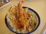 250px-tendon.jpg